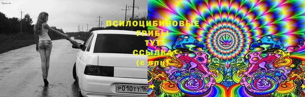 2c-b Костерёво