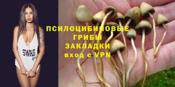 2c-b Костерёво