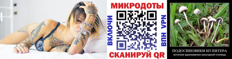 Галлюциногенные грибы MAGIC MUSHROOMS Купить Анапа